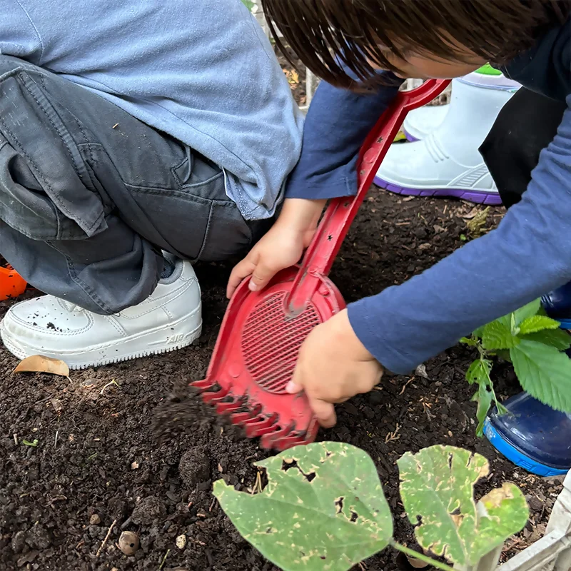 Colegio JSS Colegio Josefina Sandoval Sevilla Colegio JSS educación Waldorf